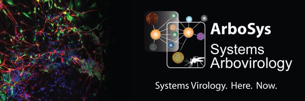 ScaturroLab Profile Banner