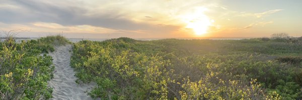 KiernanMd Profile Banner