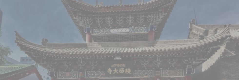 China in MENA Project's banner