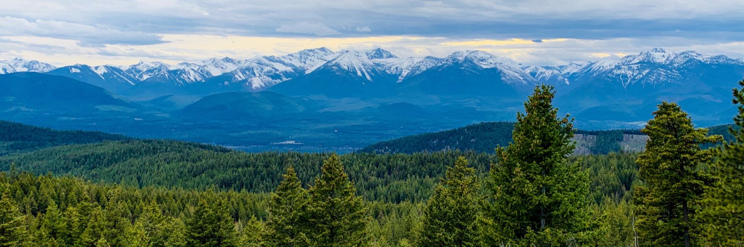 taylorbalkan's profile banner image
