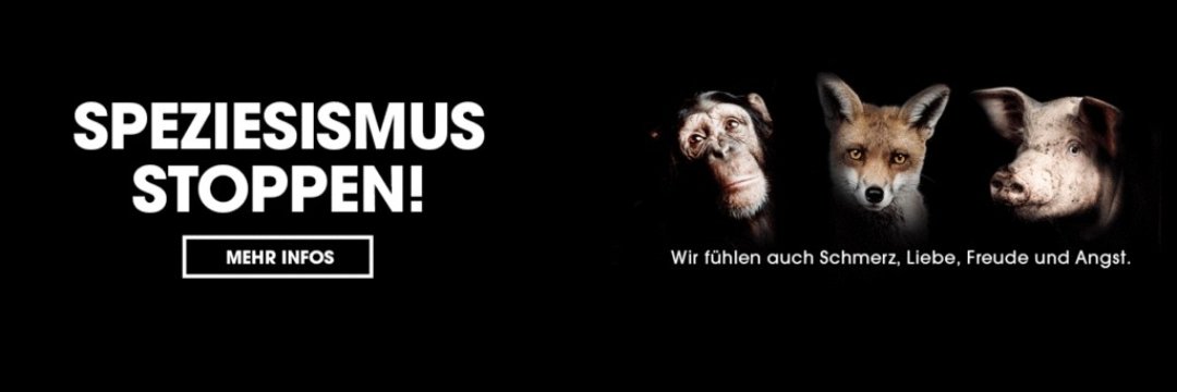 @Flohchen_19🌱#AnimalLiberationNow🌎#EndSpeciesism banner