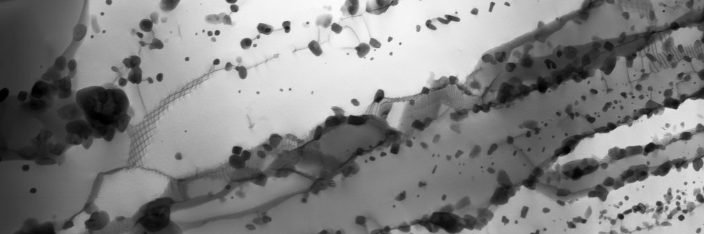 DrStuartRobertson banner