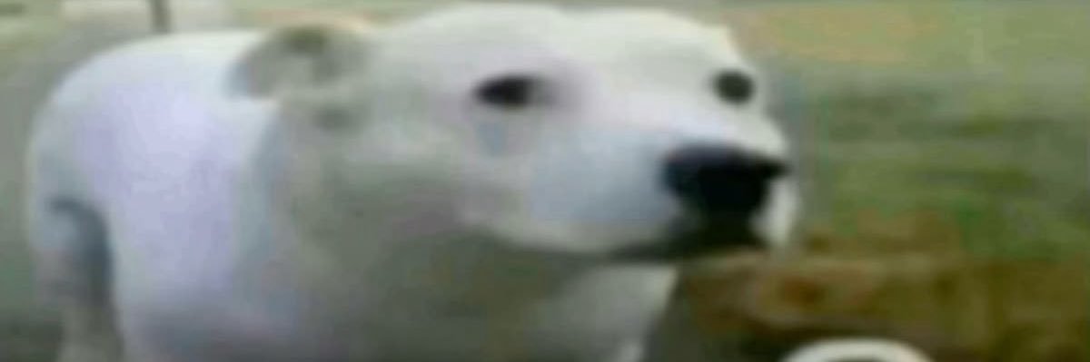 maneater banner