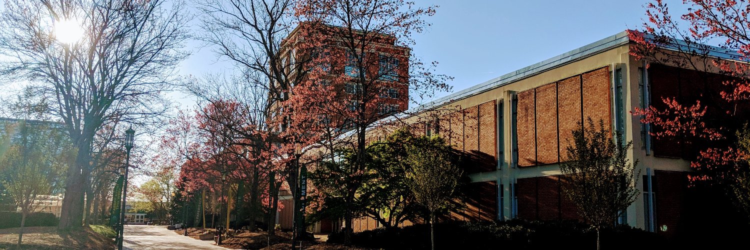 Anne Kronberg banner