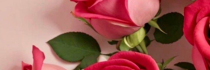 shathi628's profile banner image