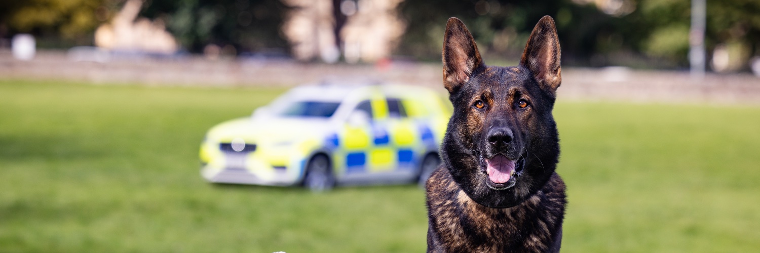 Thin Blue Paw Foundation's banner
