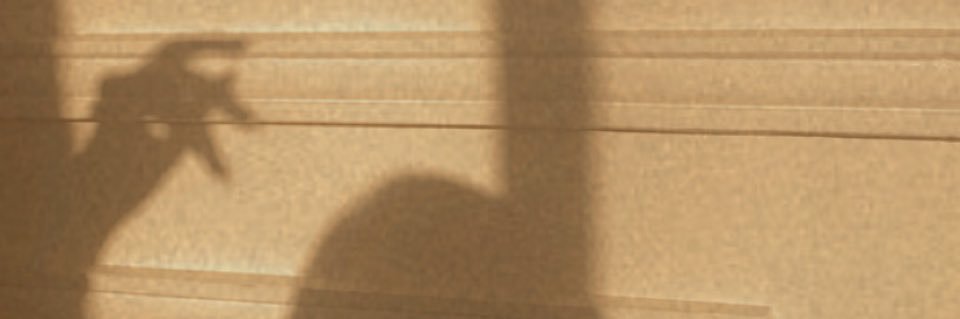 zcc_22's profile banner image