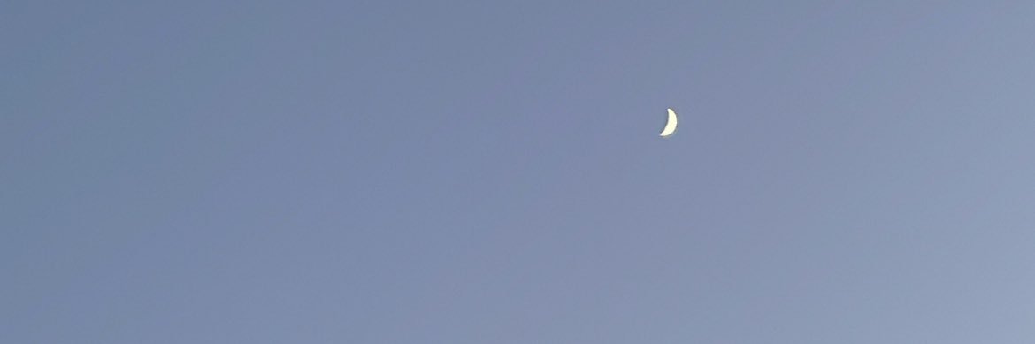 花@トレ垢 banner