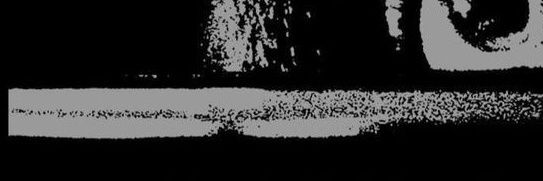 maria banner