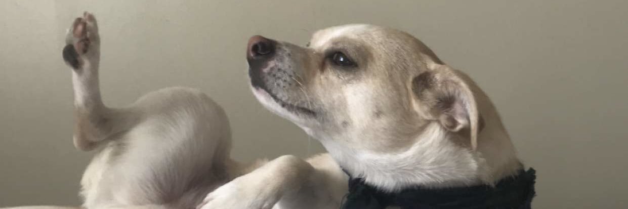 Zlarfin's profile banner image