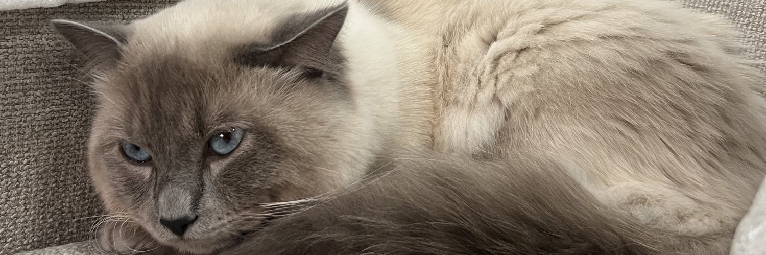 silaaaky's profile banner image