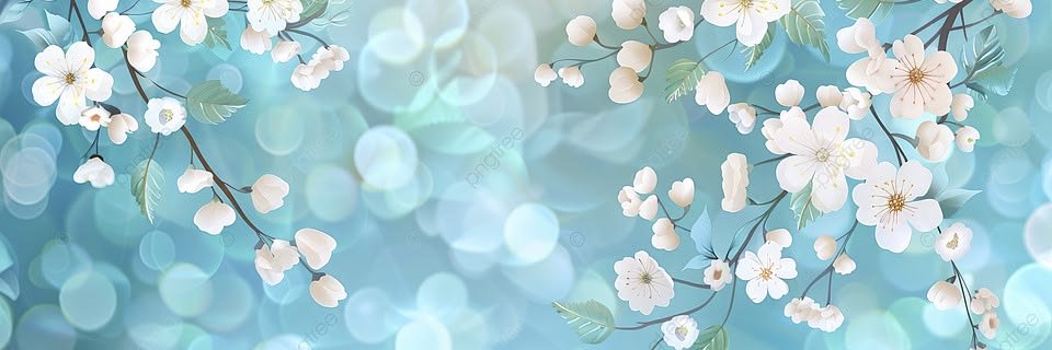 Carolina 🏴‍☠️🦙🏴‍☠️🦙 banner