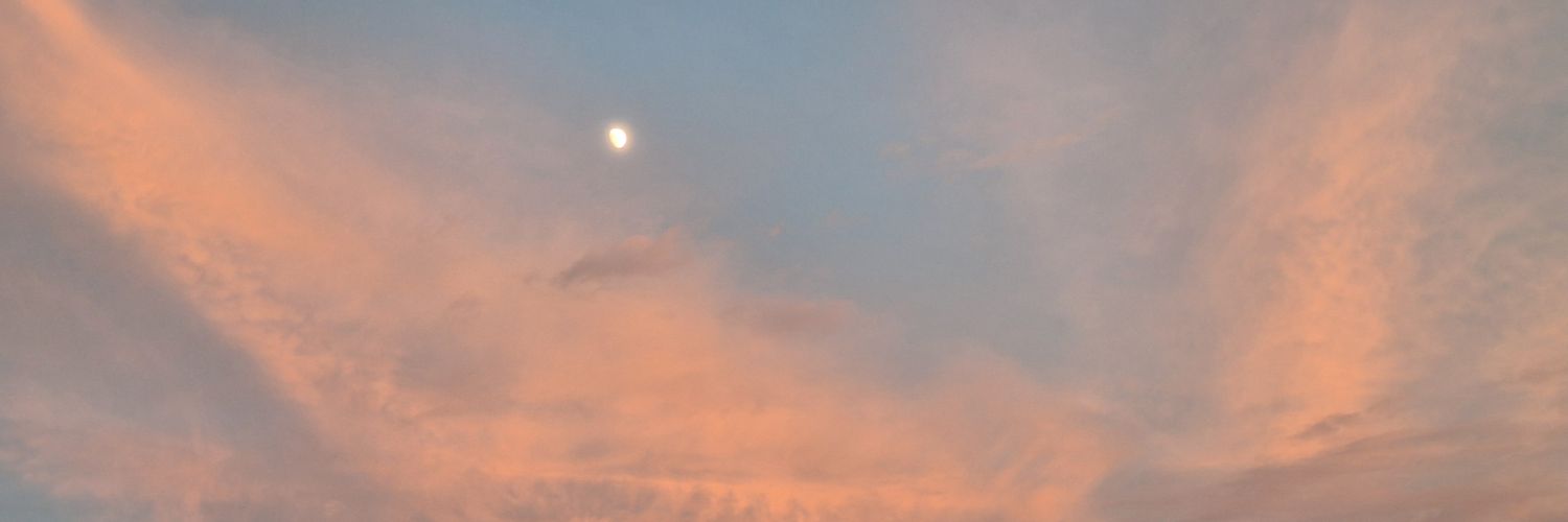 tokyoxae's profile banner image