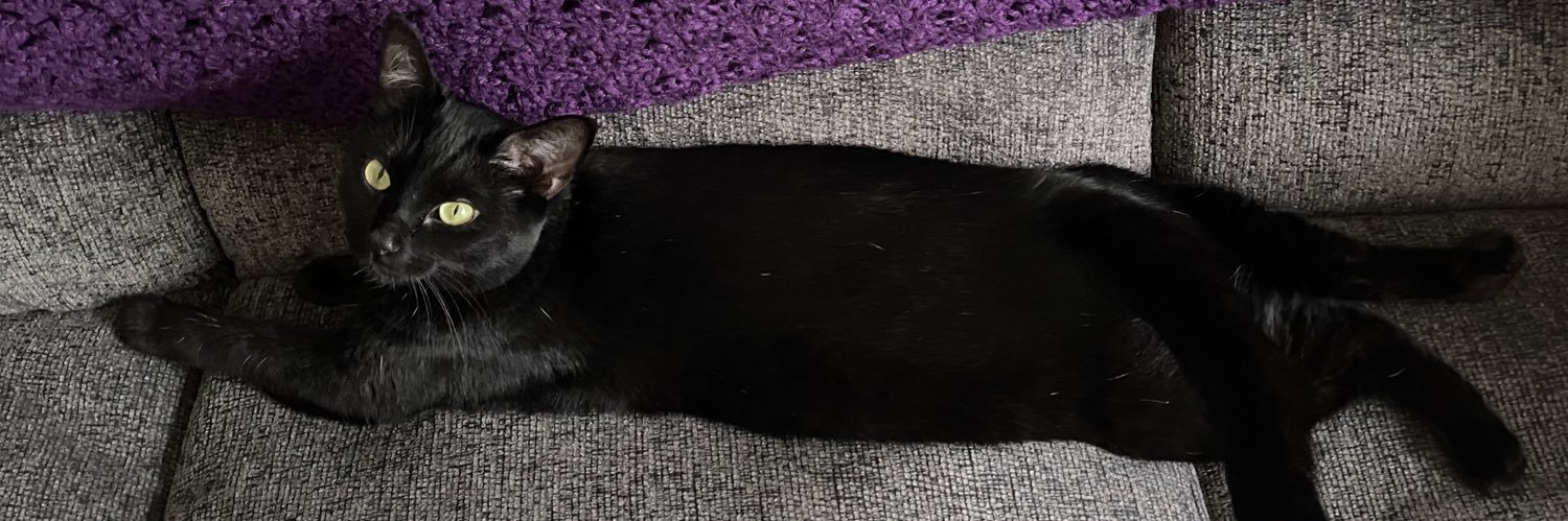 wednesday 🐈‍⬛🇵🇸🖤 banner