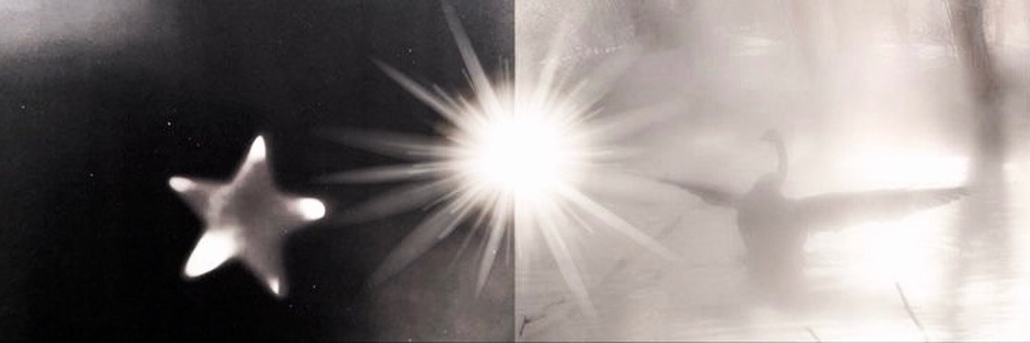 karienayu's profile banner image