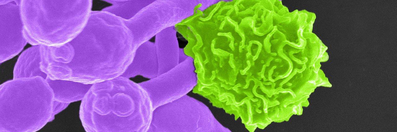 The Mansour Lab banner