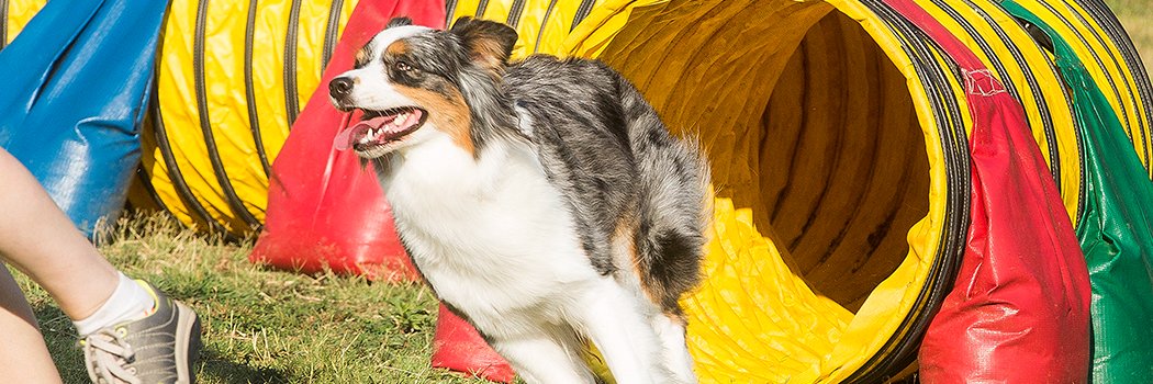 Andrea Schwandt-Arbogast banner