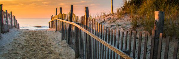 Furlicity Profile Banner