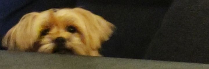 martaa_cc__'s profile banner image