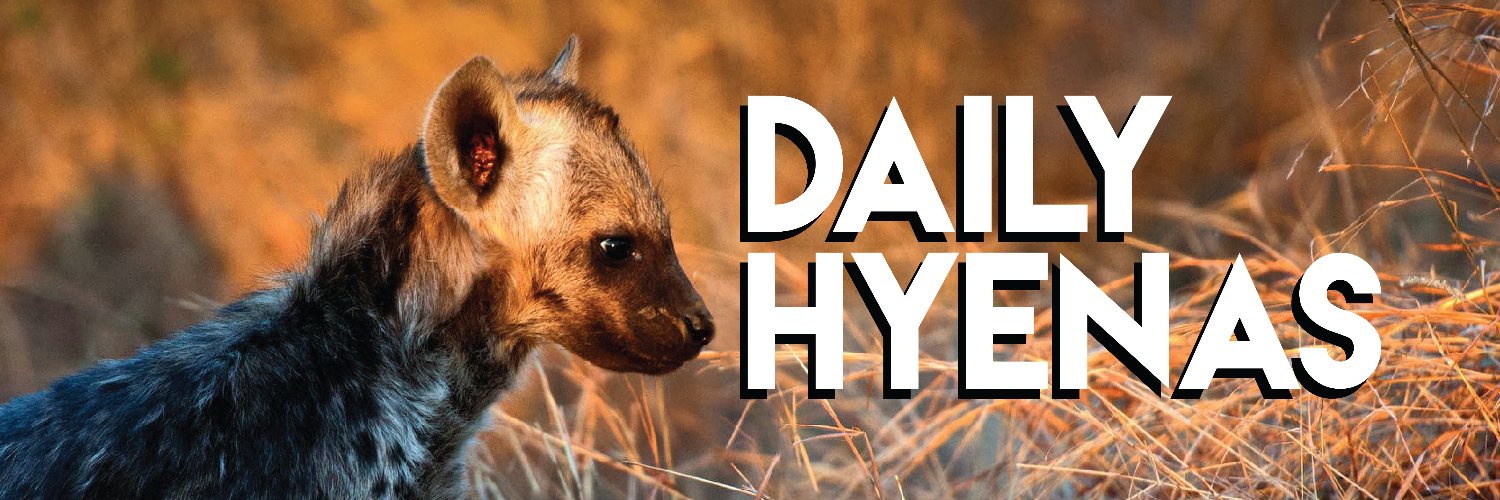 🐾 dailyHyenas 🐾 banner