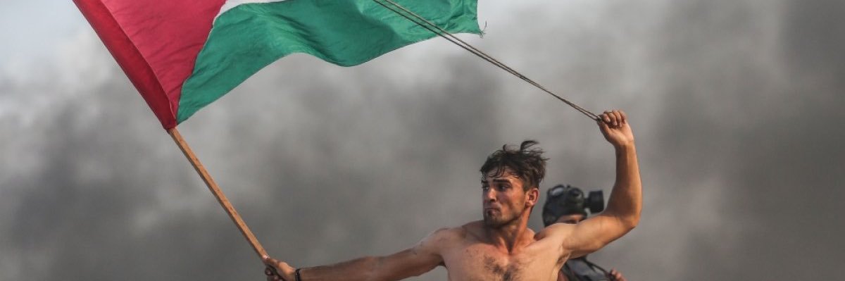 Olive R Tryst ☂️ 🍞🌹🇵🇸 banner