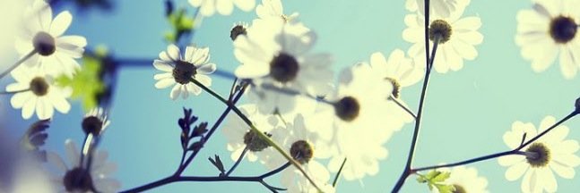 laibuylaotui's profile banner image