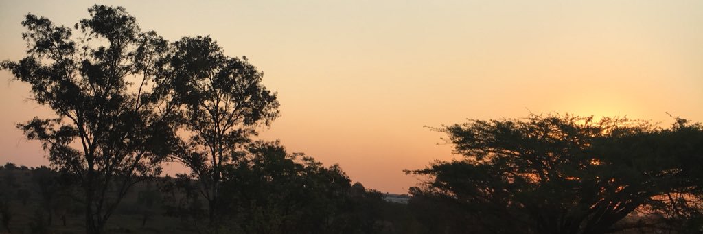 KazMorrice's profile banner image