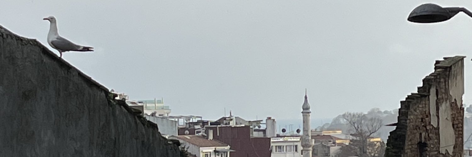 Cenk Karamürsel's banner