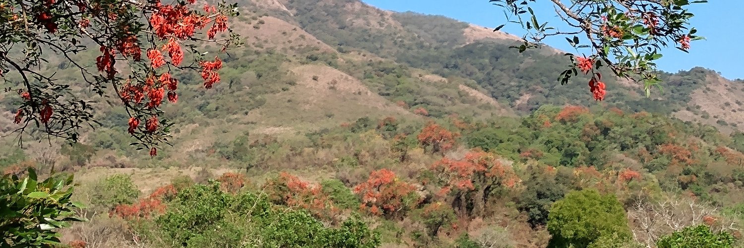 Teófilo Cruz banner