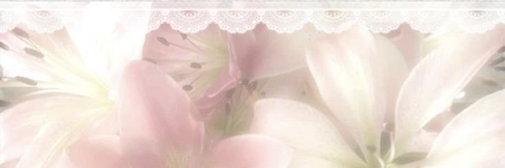 𑣲┆𝑒𝓈𝓂𝒾𝓉𝒶 ˚.⋆ֹ banner