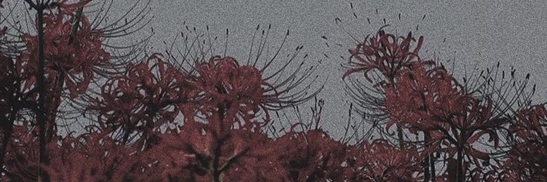 𝓜ala, 𝘺𝘰𝘶𝘳 𝘭𝘰𝘤𝘢𝘭 𝘨𝘩𝘰𝘴𝘵. banner