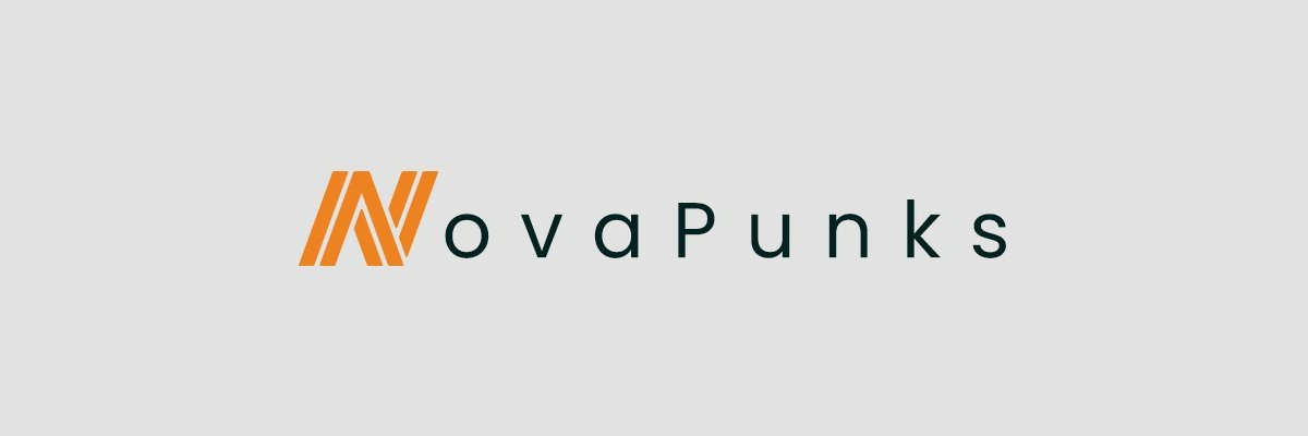 NovaPunks OG NFT Project (💙,🧡) banner