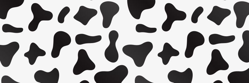 kicacacacaca's profile banner image