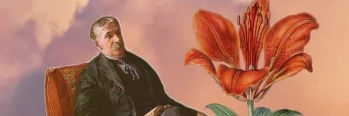 TaePearlZ's profile banner image