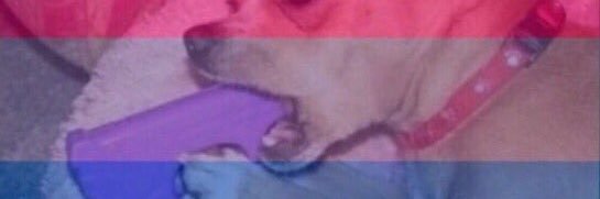 tuti banner
