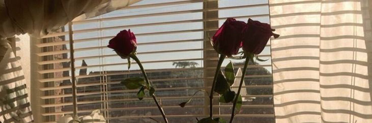 kricepy 𓆩♡𓆪 banner