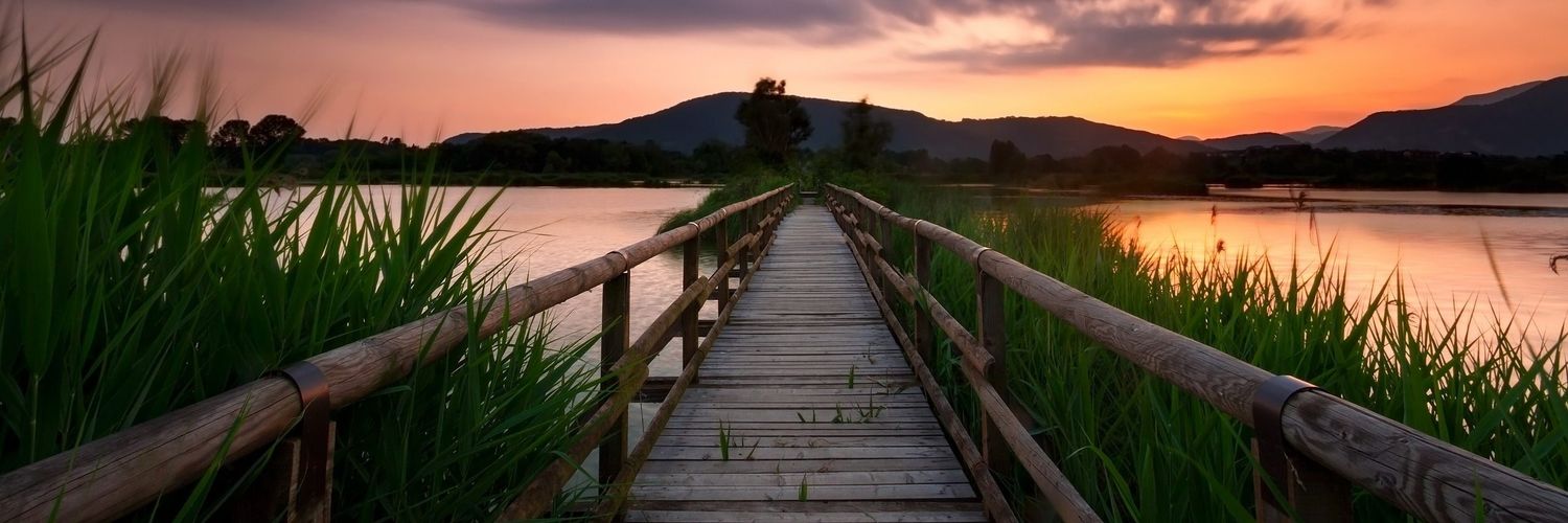 Marcus Vinicius banner