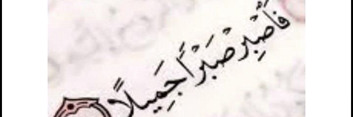 Basmala24992809's profile banner image