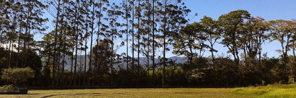 Laufonca Profile Banner