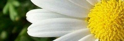 4488O's profile banner image