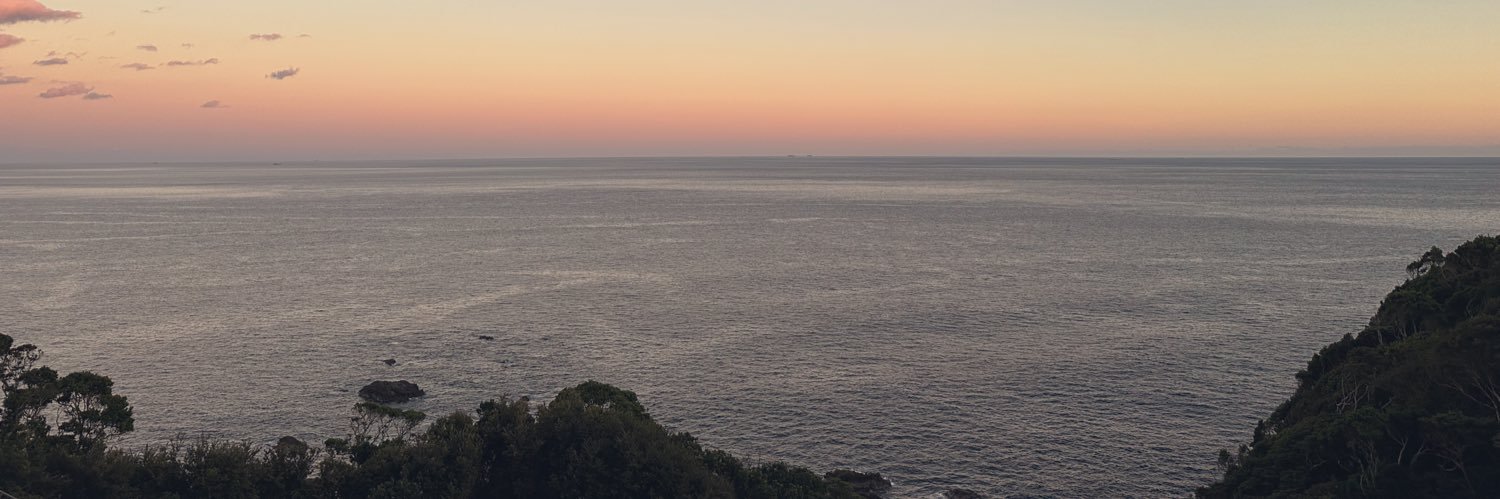 sy0 banner