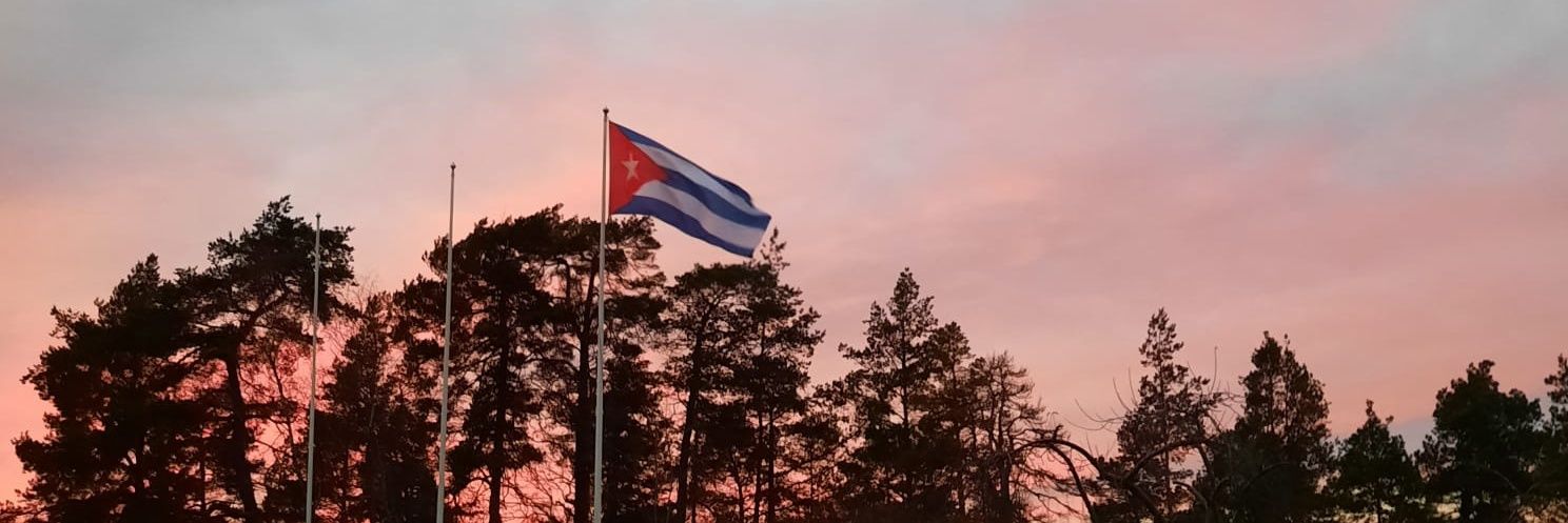Alba B Soto banner