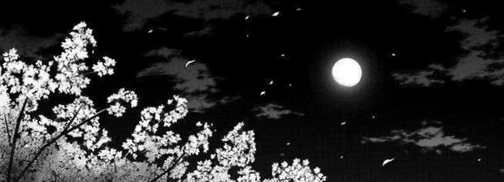 breezeluna90's profile banner image