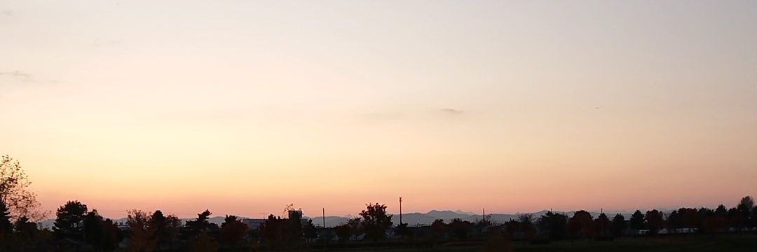 laika banner