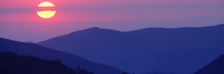 preemis's profile banner image