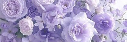 ❀ さち ❀ banner