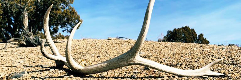 RankRider99's profile banner image