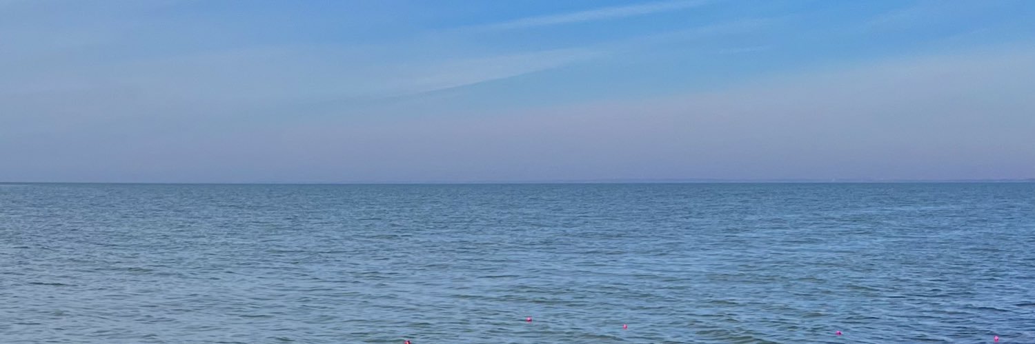 Sapi_99's profile banner image