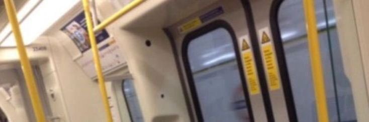 lils! banner