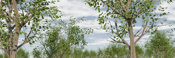 kejwii Profile Banner